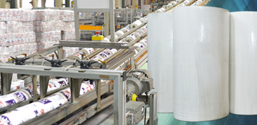 Bathroom Tissue Image